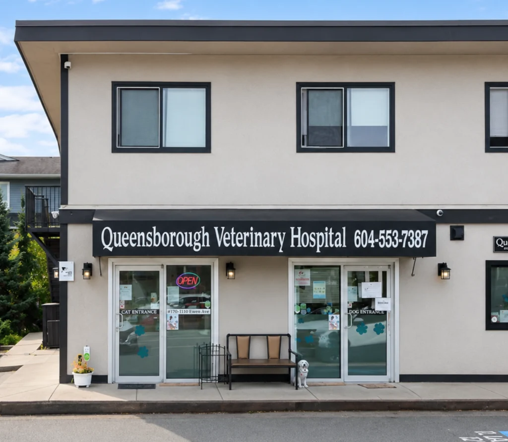 Queensborough Veterinary Hospital exterior view