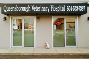 Queensborough Veterinary Hospital